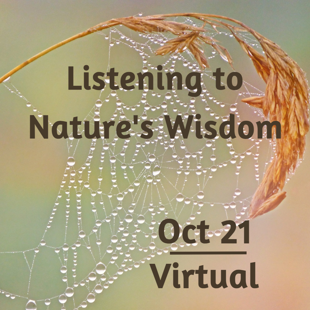 Listening to Nature's Wisdom Image