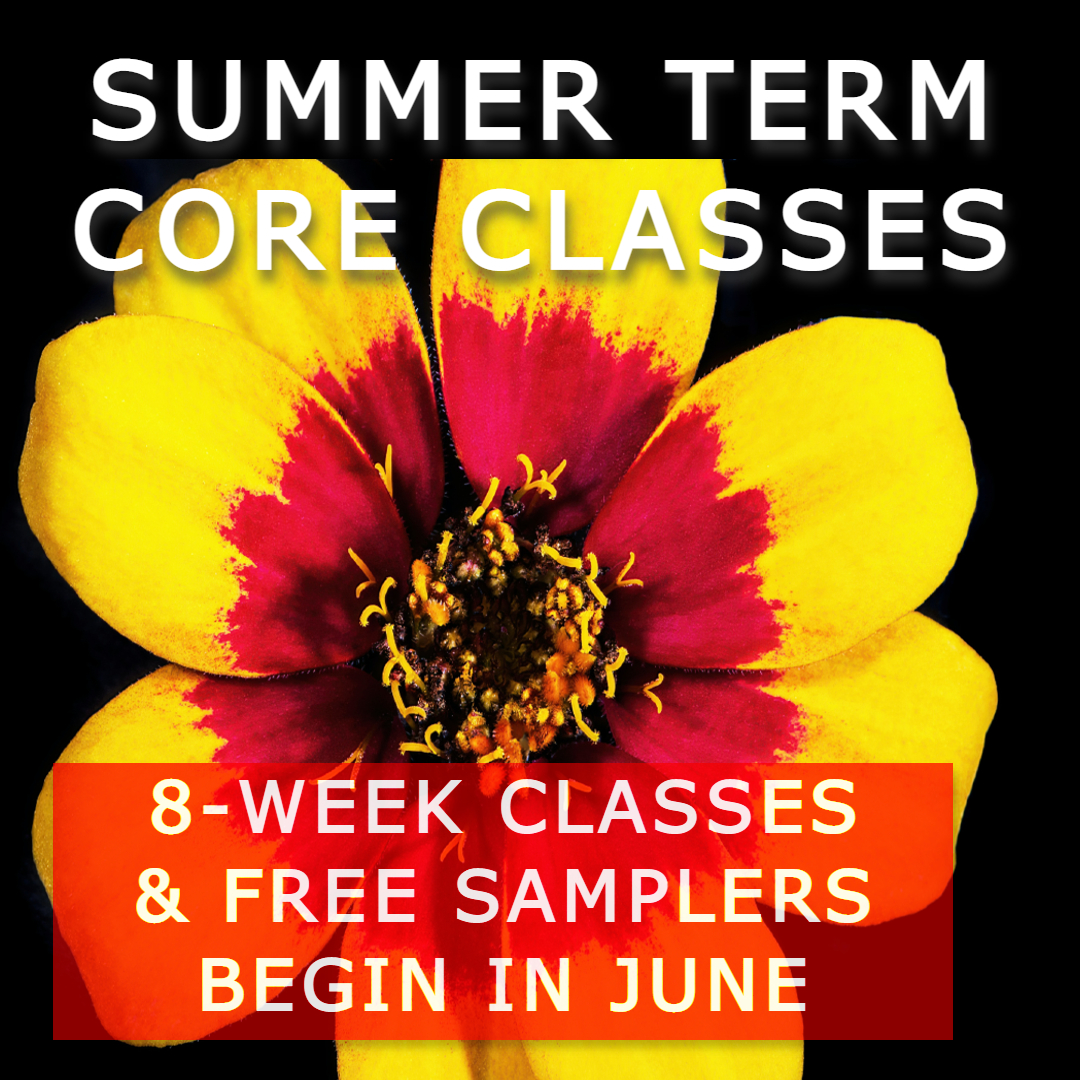 Summer Term Core Class Image